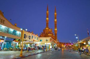 Sightseeing link to Jasmine Tours