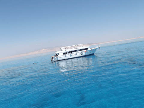 boat-trip-tiran-island-jasmine-tours