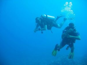 diving-tiran-island