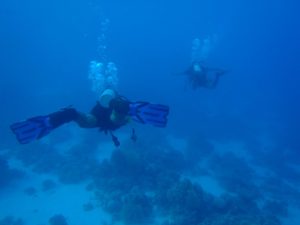 diving-ras-mohamed-national-park