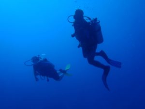 diving-ras-mohamed-national-park