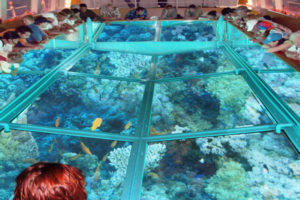 glass-boat-hurghada