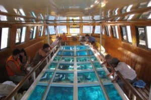 glass-boat