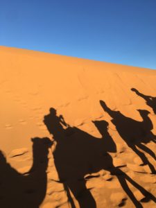 desert safari trek sharm el sheikh