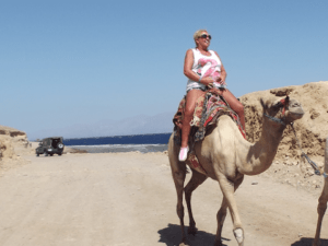 Camel Ride