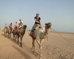 Camel riding Jasmine Tours