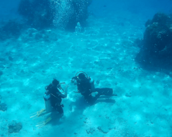 Jasmine Tours open water dive course