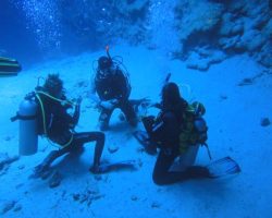 Open water dive course Sharm el Sheikh link to booking